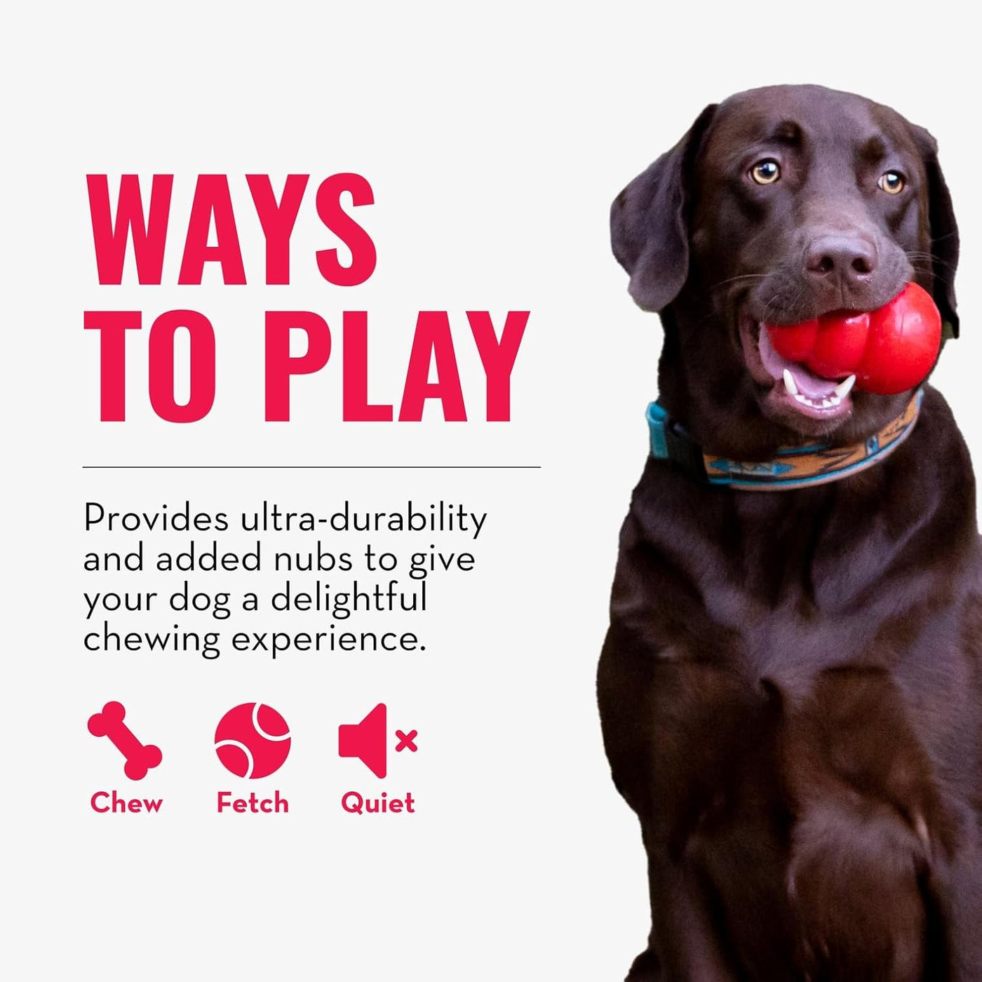KONG Ring Dog Toy – Durable Natural Rubber Chew Ring for Medium/Large Dogs