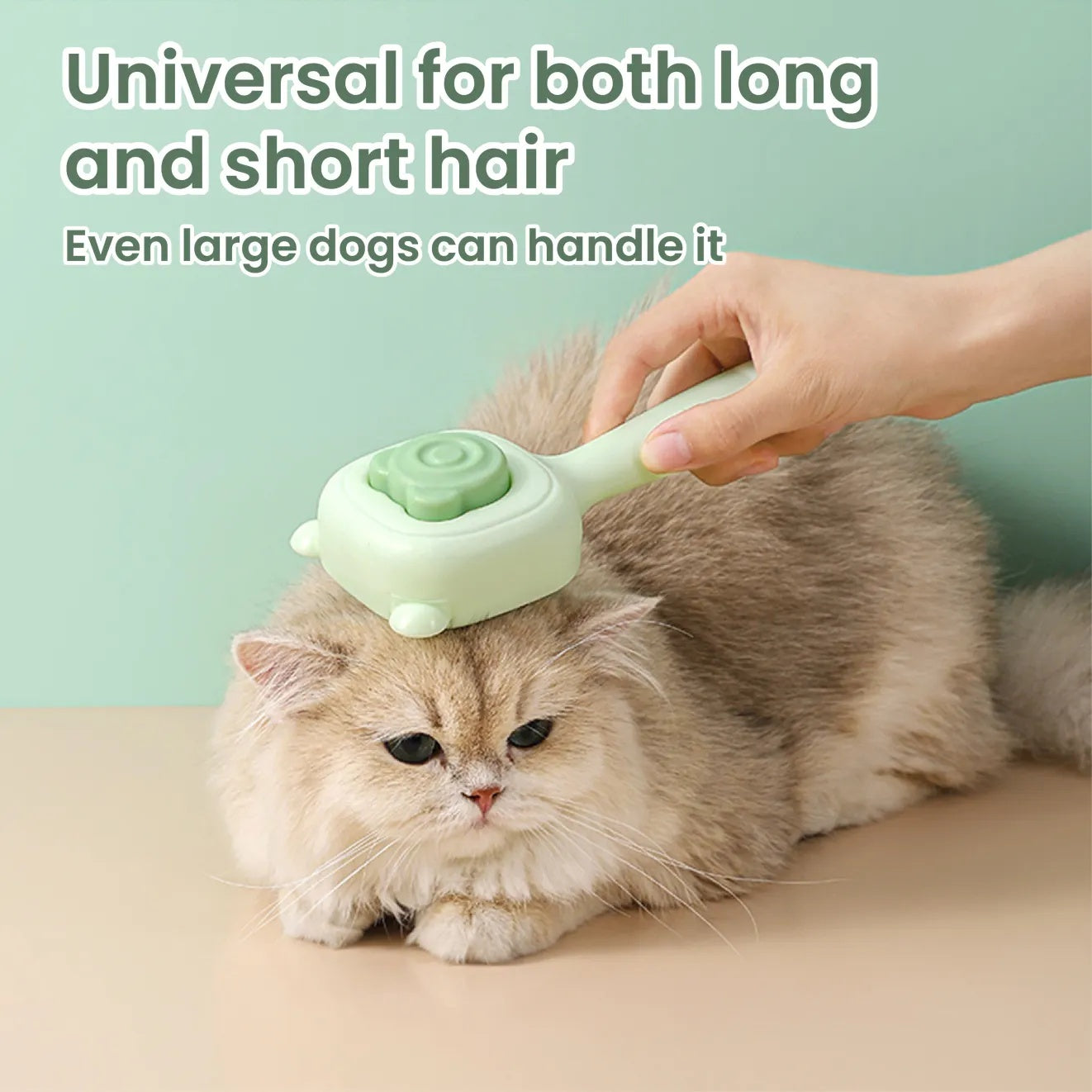 Pet Spray Comb for Cats & Dogs | Multi-Functional Grooming Tool